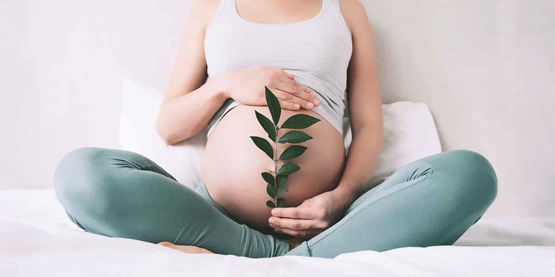 fertility womens health fertility womens health